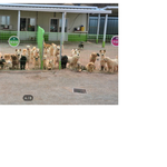 천사의 집 아이들이 걱정없이 <b>사료</b>를 먹게 해주고 싶어요 (댓글만...