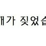 [댓글부탁해] 추반)얼굴형 둘중 하나만 선택해야 한다면 뭘로 할거야...