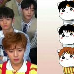 [프로듀스] 이건 뭐 데칼코마니 <b>수준</b>아니냐ㅜㅜㅜㅠ