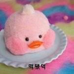 애니 추천점