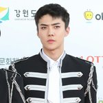[세훈] 170603 드림콘서트 <b>레드카</b>펫 기사사진2