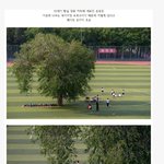 [콜로라도] <b>대륙</b> 초등학교의 운동장.jpg