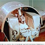 [콜로라도] 역사속 <b>사진</b> 한장 22편 -우주에 간 동물들-.<b>jpg</b>