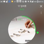 [세븐틴] 중간에 나와서 집가는 중인데