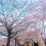 고등학교 마지막 <b>학창</b>시절때