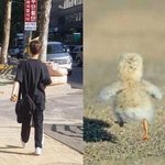 [프로듀스] <b>대휘</b>같은애첨봐