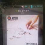 [세븐틴] 꿈콘 <b>캐럿</b>들 칭찬해ㅜㅠ