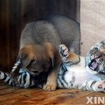 다들 첫 ㅈㅇ는 언제했구 기분 어땠어? (<b>영자</b>님 지우지 마 ㅠㅠ)