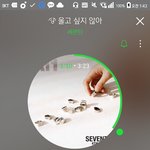 [세븐틴] 이번 꿈콘 역대급이라고 생각함