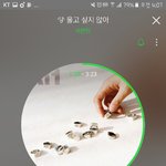 [세븐틴] ㅅㄷ타팬이 콘서트 오는거 어떰