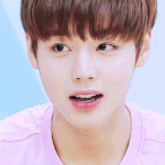 [댓글부탁해] 박지훈 온미남 냉미남 중에