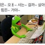 우리 아빠 진짜 _같음