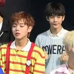 [프듀2] 배진영 <b>개별</b>순위발표하기전에 ㅋㅋㅋㅋㅋㅋㅋㅋㅋㅋ