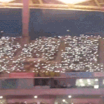 [EXO] 야 근데 우리 팬덤 ㅈㄴ 대단한 것 같음