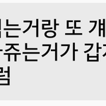 [댓글부탁해] (사진있음)남사친 짝사랑하는데 도어ㅏ줘