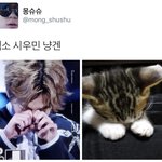 [시우민] 시우민 냥밍<b>아웃</b>ㅋㅋ