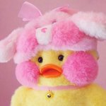 퍼스널컬러 봐줄께
