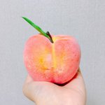 [드루와] 드디어 결정했다,,