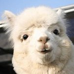 [임영민] 문득..