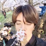 [NCT] 설마 엔라 바2럴 사진 이거