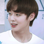 [프듀2] 난 그냥 박지훈이 좀 안쓰러움