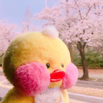 얘들아 나<b>인형</b>이 너무좋아..