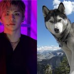 [프듀2] 강다니엘의 개차이 (<b>갭</b>차이 아님)