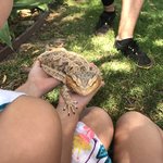 계속있습니다 @_@ 달이 별이 하늘이 후추 퐁듀 곶감이 <b>보리</b> ......