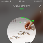 [세븐틴] 갓챔투표/잉가투표/m카투표하자