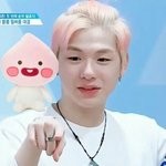 [프로듀스2] 근데 다녤은 진짜 <b>겸손</b>하고 욕심도 없는듯