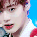 [프로듀스2] 박지훈 <b>안형</b>섭 닮은점ㅋ.ㅋ