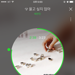 [세븐틴] ㅅㄷ) 꿈콘 티켓 잃어버려서 못 간 <b>캐럿들</b> 있어?