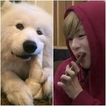 [프로듀스] <b>눈정화</b>