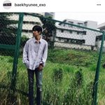 [EXO] 근데 나 이사진 본거같은데어디서