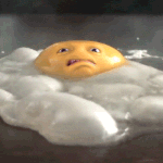 이거 버려야해?