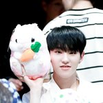 [세븐틴] 여름콘 나눔 투표해줭