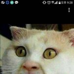 [댓글부탁해] 너네 씻는 <b>순서</b>가 어떻게됨?