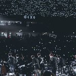 [EXO] 나비 - 하현