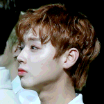 [박지훈] 아 지훈이 이짤