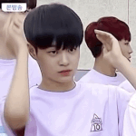 [프로듀스] 대휘 마보이 10일째 안오르는거 실화냐