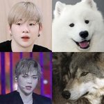 [강다니엘] 강다니엘이 흔들리지않는이유(추가+)