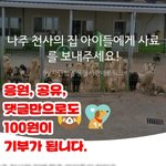[같이가치]  <b>사료</b>마련 프로젝트에  힘을 모아주세요