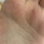 ㅆㅂ치킨먹는데 <b>꼬불</b>털나옴