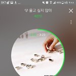 [세븐틴] 오늘 뿌앱 요약