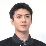 [세훈] 170607 <b>루이비통</b> 전시회 기사사진6