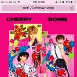 [NCT] 근데 공홈 체리<b>벌레들</b> 왜