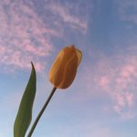 [댓글부탁해] <b>룸메</b>가 내 휴대폰 몰래 보는데 어떡함