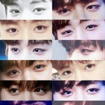 [프로듀스2] 눈에 코가 묻힌 케이스인 박지훈.jpg