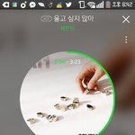 [세븐틴] ㅅㄷ  엠차 <b>폰</b>으로 보는방법좀 ㅠㅠㅠ