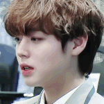 [프로듀스2] 근데 ㄹㅇ <b>자영업</b> 갑은 박지훈아니냐